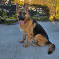 Photo of Jericho