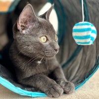 Photo of ♌️ Leo ♌️