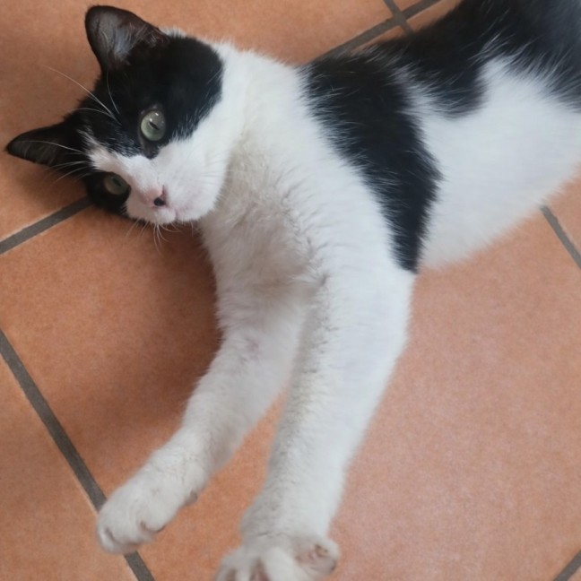 Photo of 🤍  Hannah Banana ❤︎