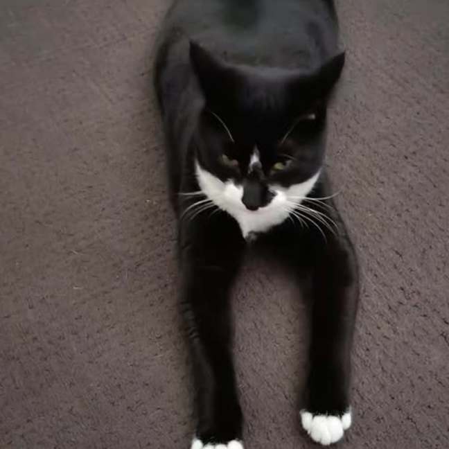 Photo of Billy