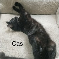 Photo of Cas & Frankie