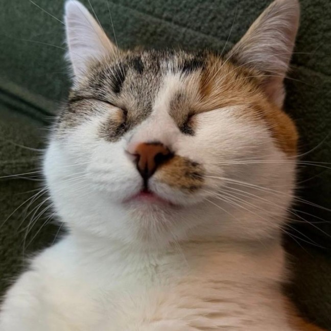 Photo of Aiko And Emiri 🌺💙