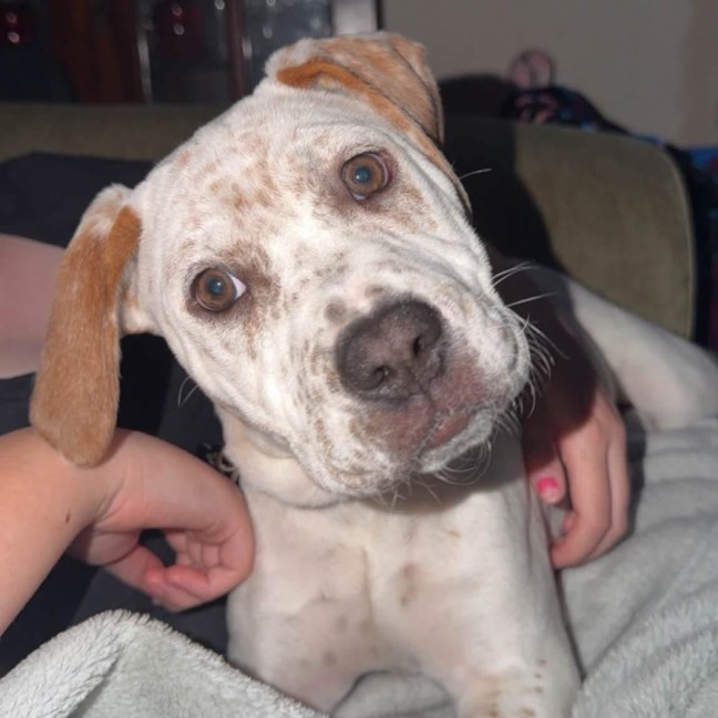 Photo of Cinnamoroll