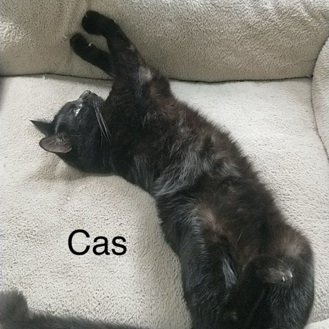 Photo of Cas & Frankie