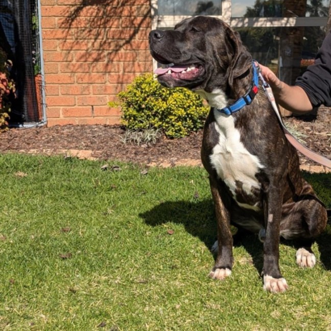 Photo of Stryker