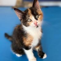 Photo of Sienna 🌷