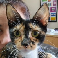 Photo of 🤎 Nutmeg 🤎