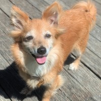 Photo of Holly Golightly