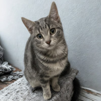 Photo of Flash