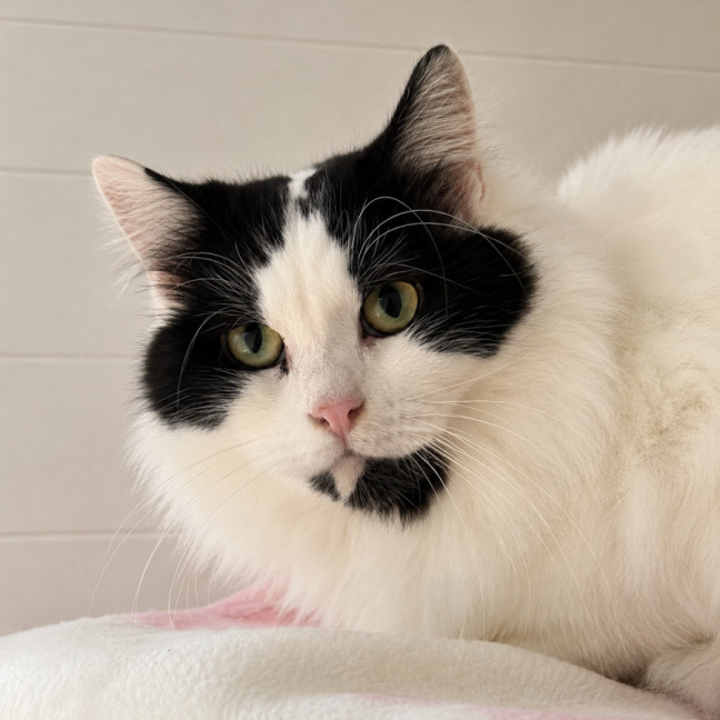 Photo of Molly 