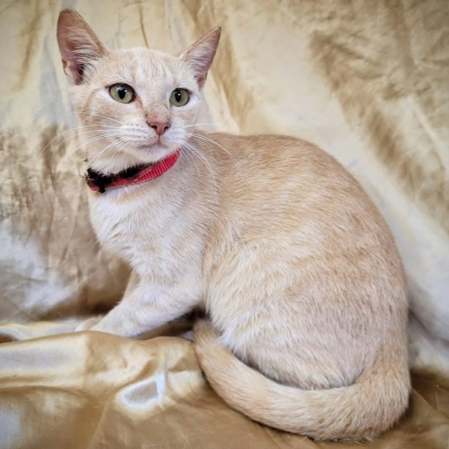 Photo of Butters 🧈 