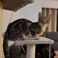 Photo of Ginge & Sprout