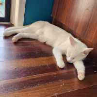 Photo of Alice