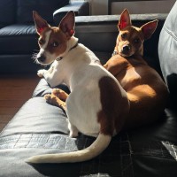 Photo of Trixie And Kayla