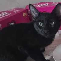 Photo of Mateo