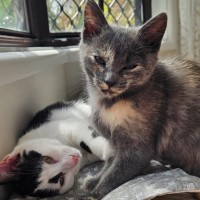 Photo of Agate And Lilly