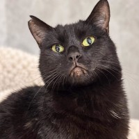 Photo of Belle