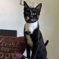 Photo of Rocky