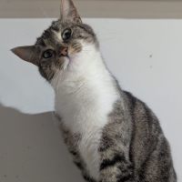 Photo of 🐭 Styx 🐭