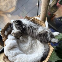 Photo of Mitzi