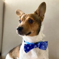 Photo of Kevin Arnold