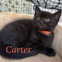 Photo of Carter 