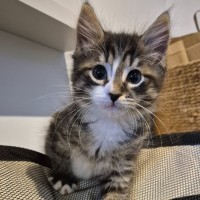 Photo of Casimir 💙