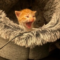 Photo of Monty