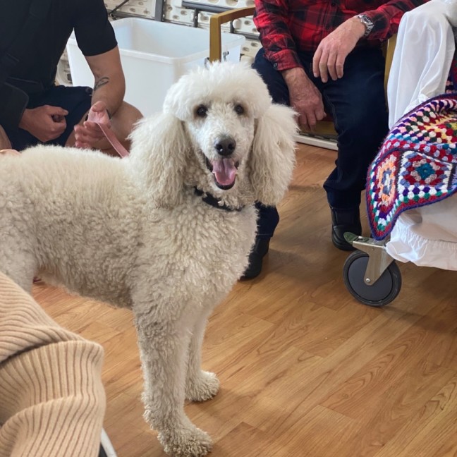 Photo of Sophie
