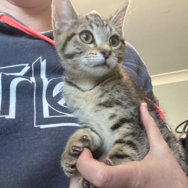 Photo of Savannah 🥰