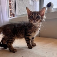 Photo of Huey