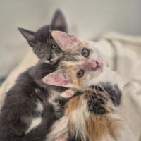 Photo of Hazel And Cloud