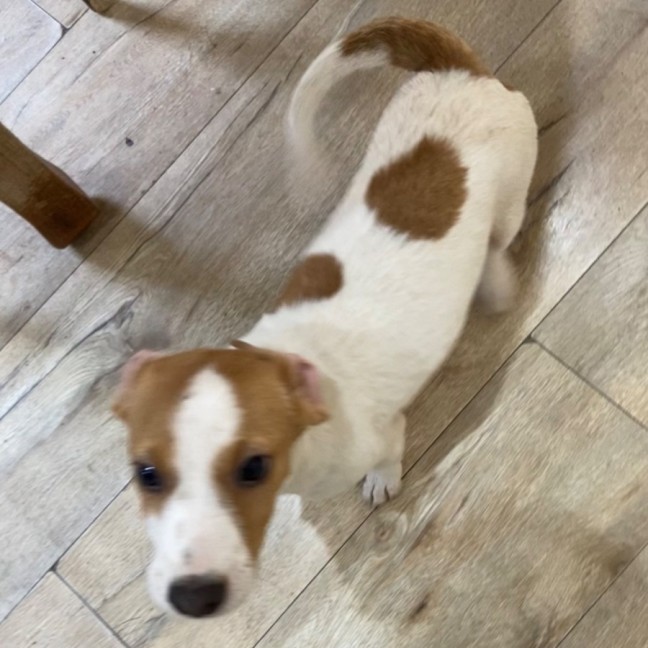 Photo of Spots
