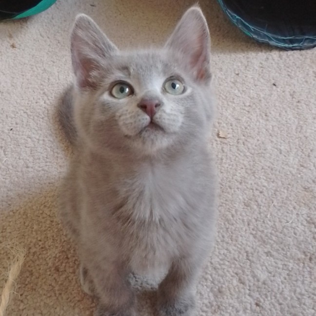 Photo of Storm