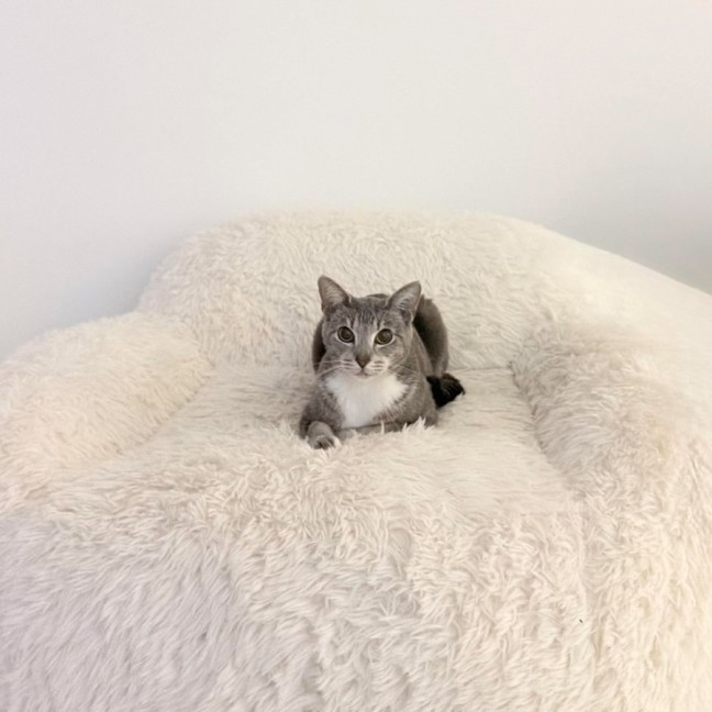 Photo of Aaliyah