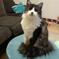 Photo of Milly 🌷🌷