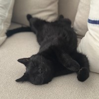 Photo of Alice