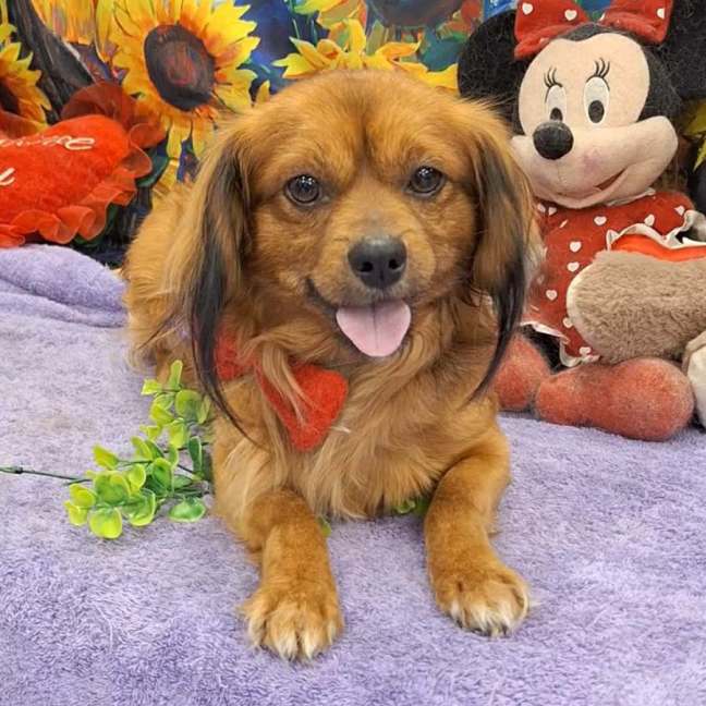Photo of Max