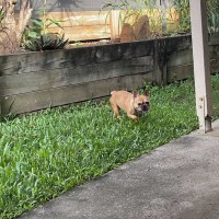 Photo of Muriel