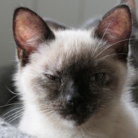 Photo of Quinnie