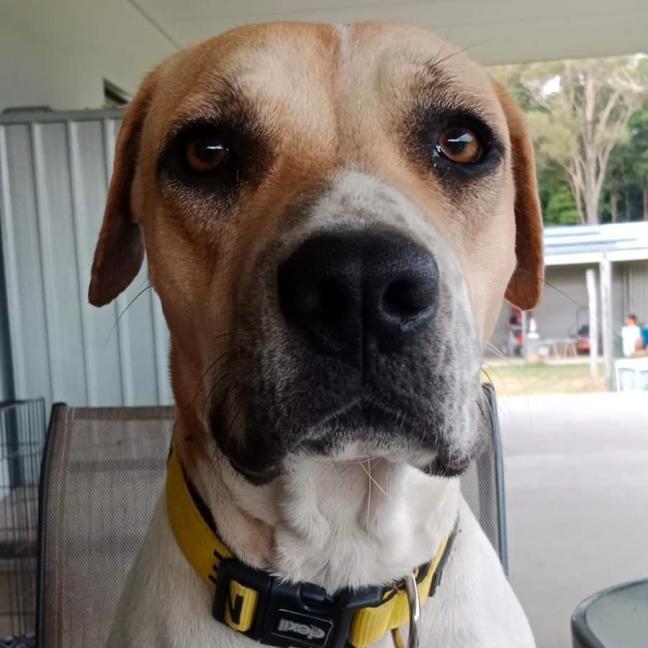 Photo of Maisey
