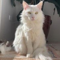 Photo of Dairy Queen