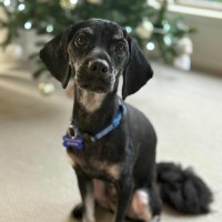 Photo of Sootie