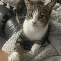 Photo of Asher
