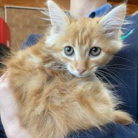Photo of Chilly