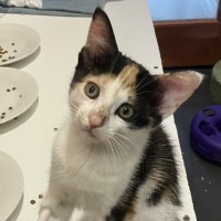 Photo of Skyler