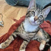 Photo of Max