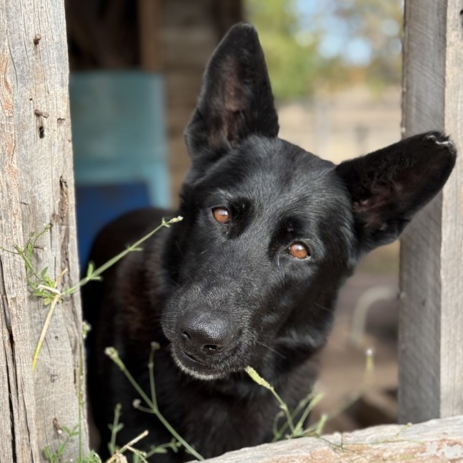 Photo of Storm