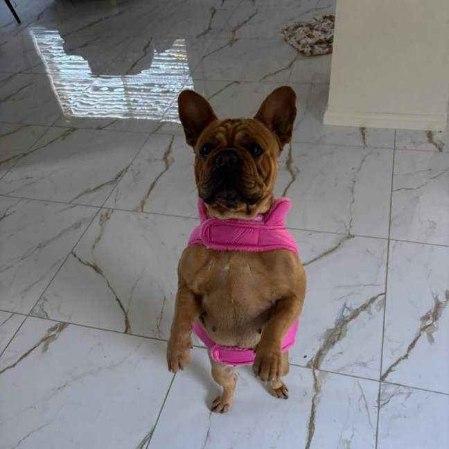 Photo of Ziggy
