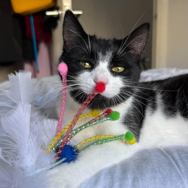 Photo of Dottie